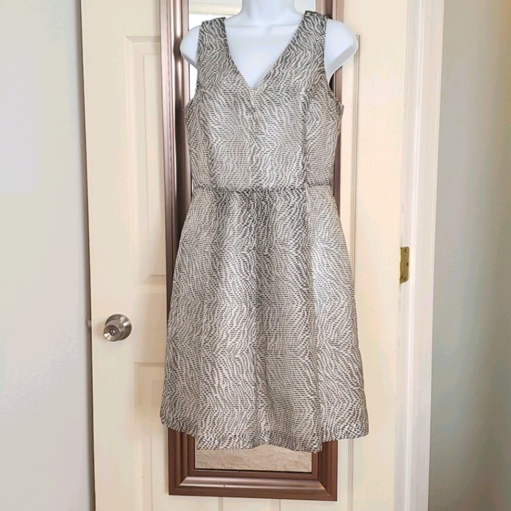 Banana Republic Black and White Midi Dress